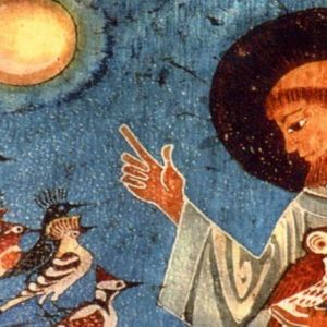 La langue est oiseaux est la langue de la nature, celle que parle le corps pour comprendre la nature des problèmes et espérer pouvoir les résoudre chez Alchimie intérieure à Tours 37