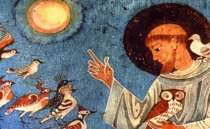 La langue des oiseaux