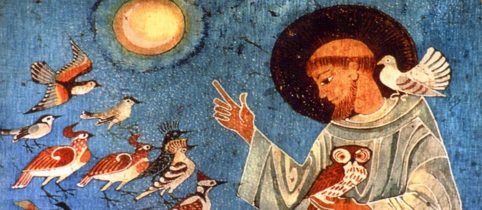 La langue est oiseaux est la langue de la nature, celle que parle le corps pour comprendre la nature des problèmes et espérer pouvoir les résoudre chez Alchimie intérieure à Tours 37