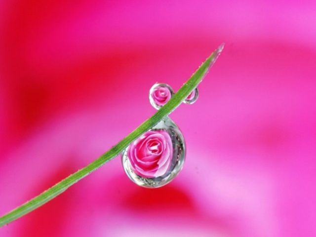 Qu'est ce l'amour? Alchimie interieure à Tours vous propose une réflexion symbolique et alchimique de ce concept si complexe et si essentiel que ce mot d'âme-lumière à Tours 37