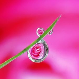 Qu'est ce l'amour? Alchimie interieure à Tours vous propose une réflexion symbolique et alchimique de ce concept si complexe et si essentiel que ce mot d'âme-lumière à Tours 37